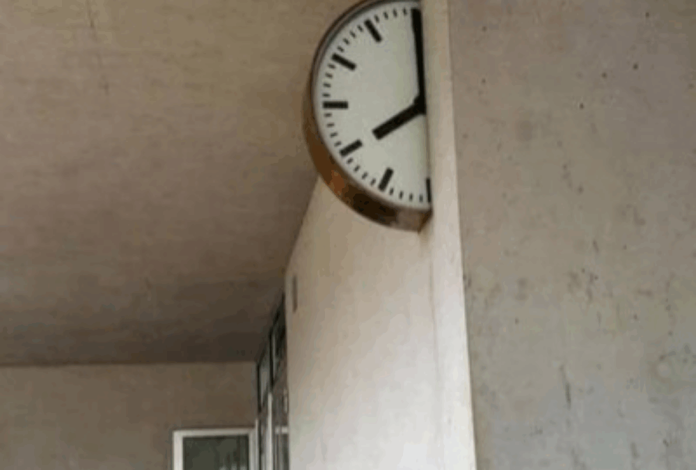 Meetings – wo viele reden, weil keiner weiß, was zu tun ist