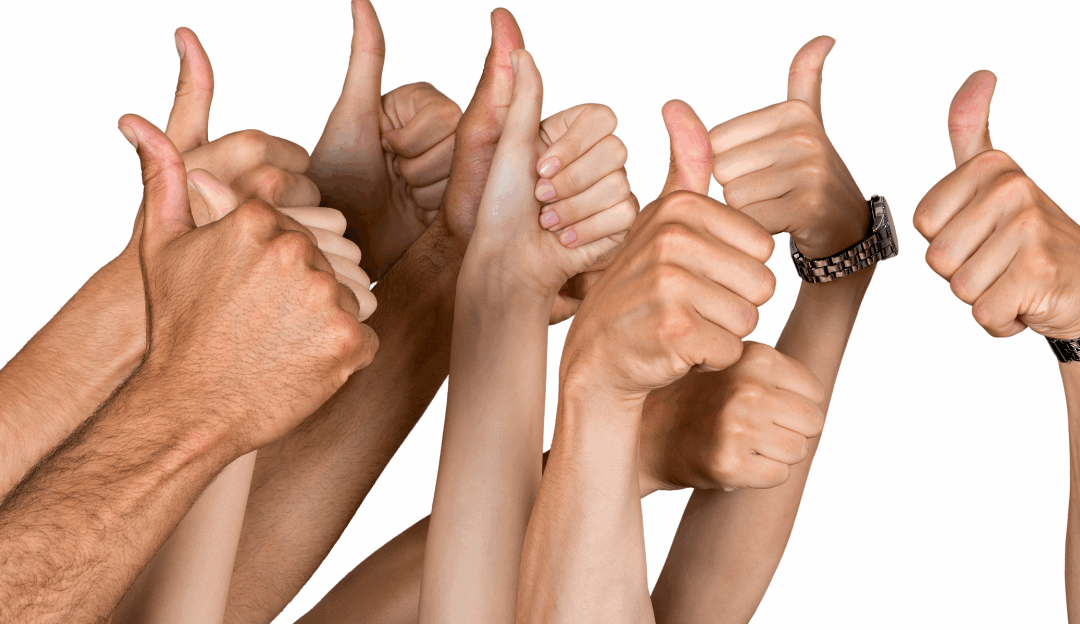 Vom höflichen Ja zum echten Commitment: Warum Beteiligung mehr braucht als ein Nicken